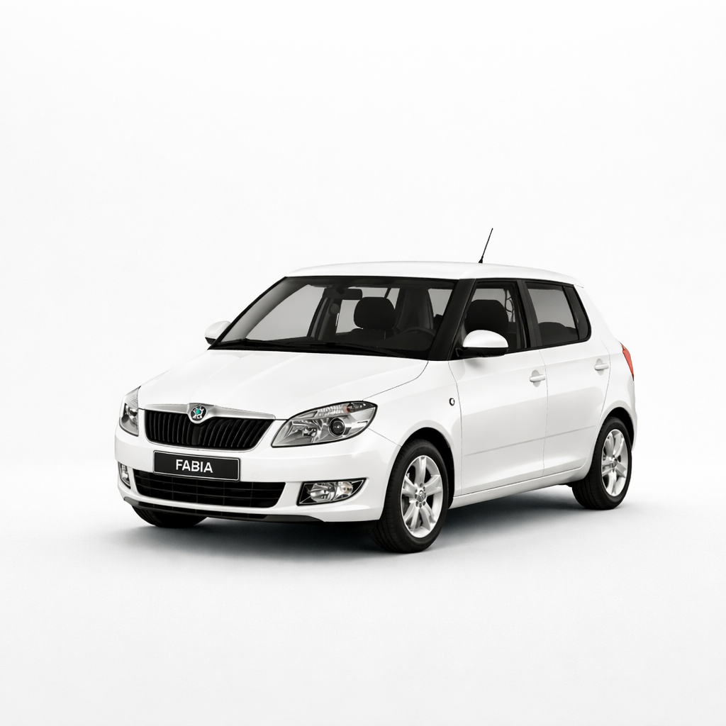 Skoda Fabia 2009