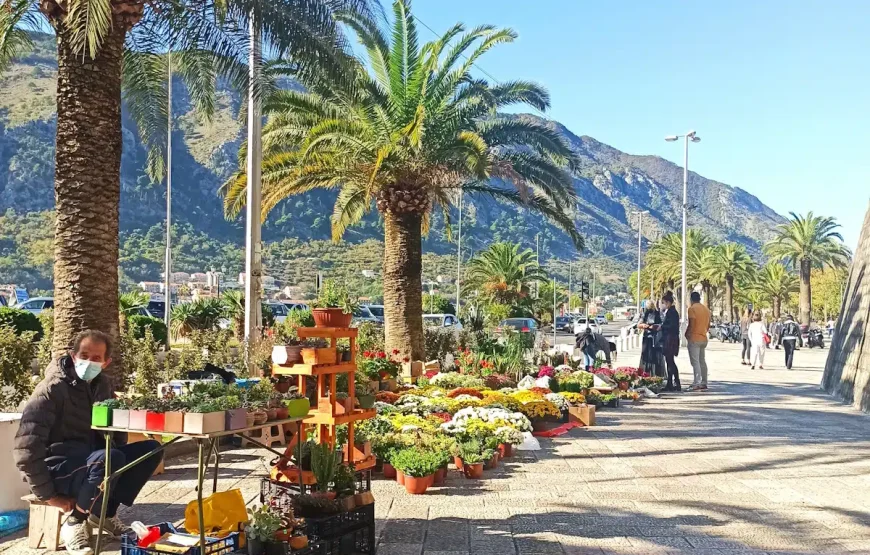 Kotor Walking Tour with Food and Wine tasting