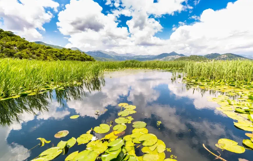 Njegusi, Cetinje & Skadar Lake